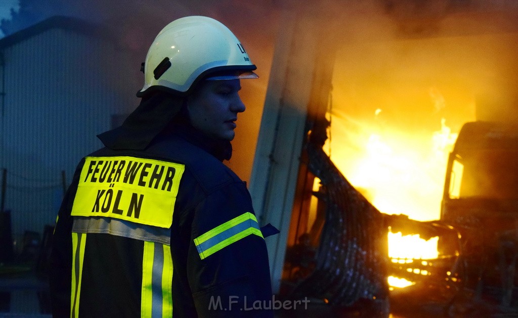Feuer 3 Rheinkassel Feldkasseler Weg P0401.JPG - Miklos Laubert